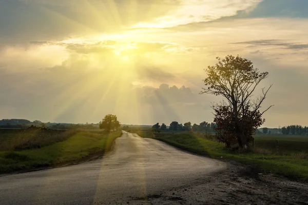 Foto della strada del traffico — Foto Stock