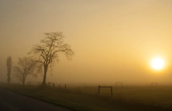 Foggy cena outonal e estrada de asfalto — Fotografia de Stock