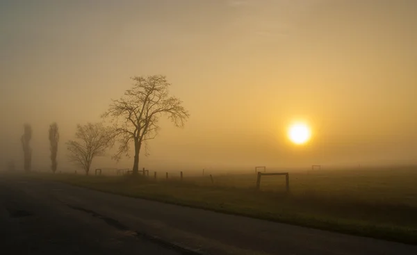 Foggy cena outonal e estrada de asfalto — Fotografia de Stock