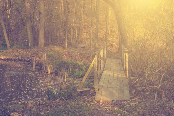 秋の森を橋します。 — ストック写真