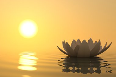 Zen flower lotus on sunset clipart