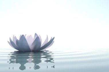 Zen flower loto in water clipart