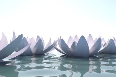 Zen loto su çiçeği.