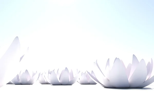 Zen loto Blumen auf weißem Hintergrund — Stockfoto