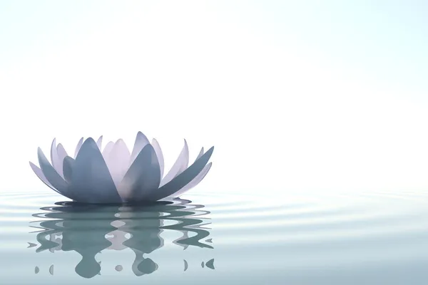 Zen blomma loto i vatten Stockfoto