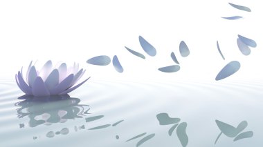 Zen lotus yaprakları Rüzgar tarafından taşındı