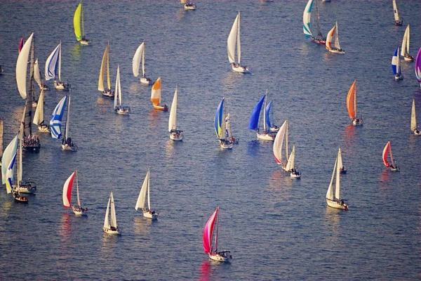 Regata à vela — Fotografia de Stock