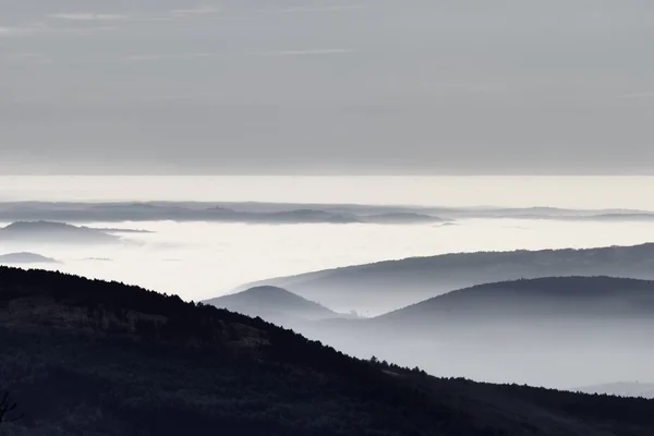 Colline nebbiose — Foto Stock