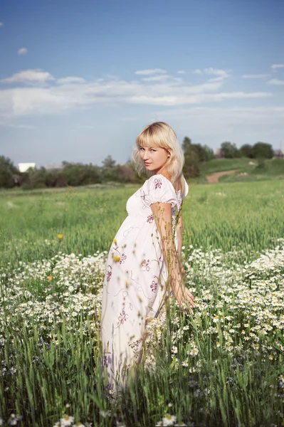 Papatya çiçekleri alanında elbiseli güzel kız — Stok fotoğraf
