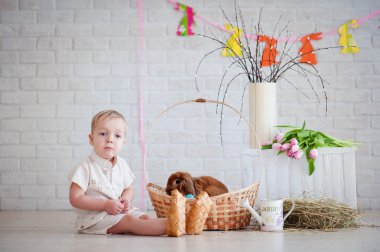 tavşan ve Paskalya süsleri olan küçük çocuk
