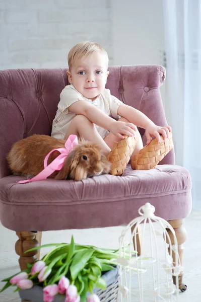 Little boy sitting in a chair with a rabbit — Stock Photo, Image