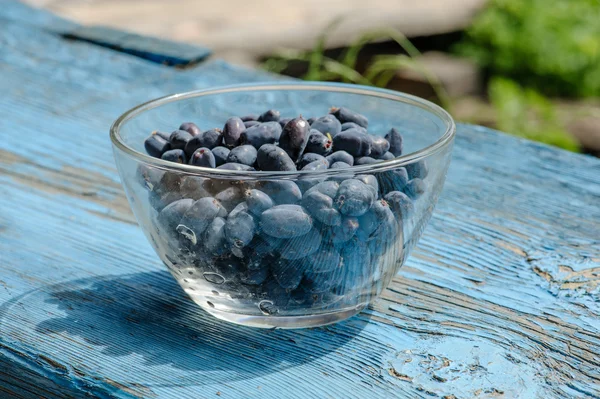 Honeysuckle berries in bowl — Stock Photo, Image