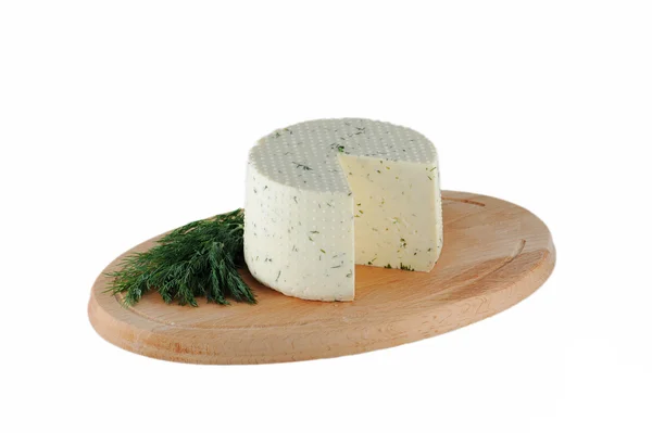 Cheese with dill — Stock Photo, Image
