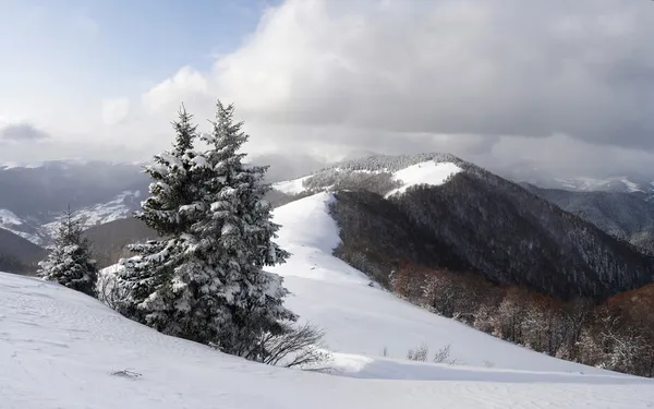 Karpaty zimą — Zdjęcie stockowe