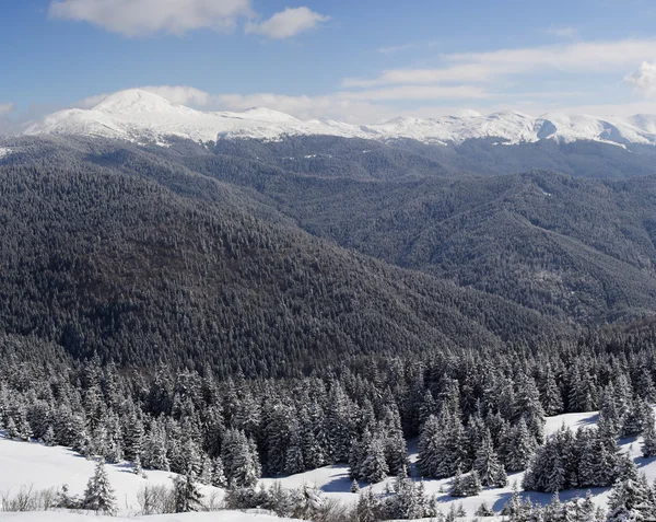 Karpaty v zimě — Stock fotografie