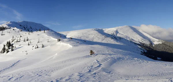 Carpathians in winter — Stock Photo, Image
