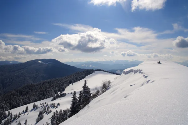 Karpaten im Winter — Stockfoto