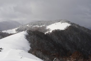 Kış Karpatlar