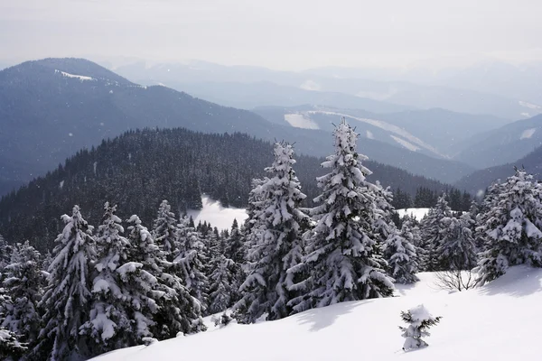 Vintern Karpaterna — Stockfoto