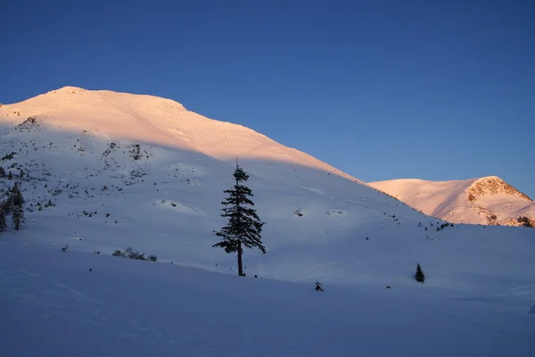 Carpathians Musim Dingin — Stok Foto