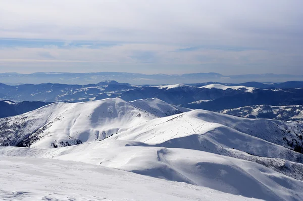 Carpazi invernali — Foto Stock