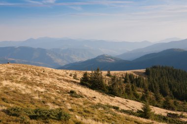 Doğu Karpatlar, sırt svidovets