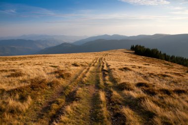 Doğu Karpatlar, sırt svidovets
