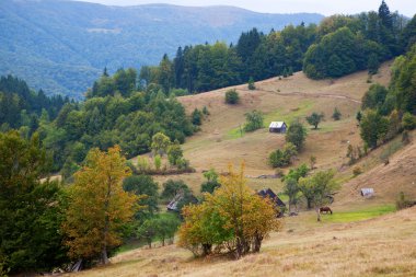 Doğu Karpatlar, sırt svidovets