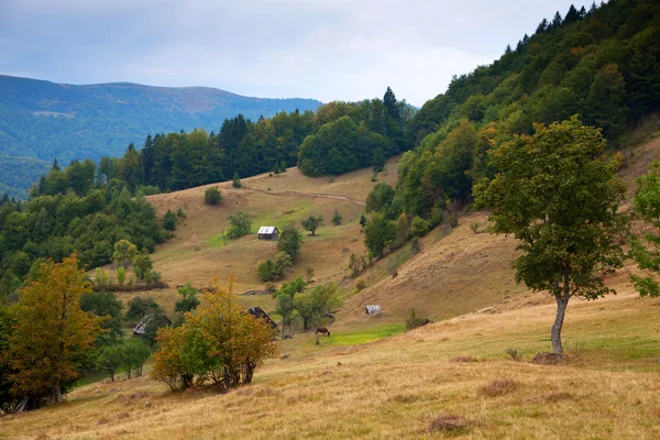 Doğu Karpatlar, sırt svidovets