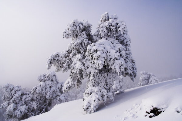 Winter view of the Crimean mountains, Ukraine.