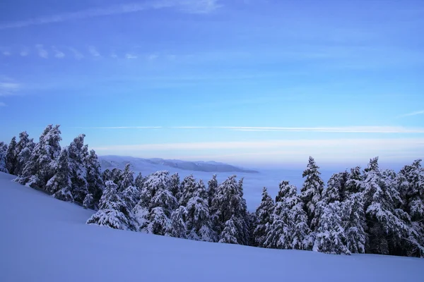 Vue d'hiver sur les montagnes de Crimée, Ukraine . — Photo