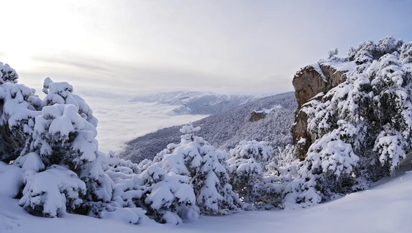 Vista de invierno de las montañas de Crimea, Ucrania . — Foto de Stock