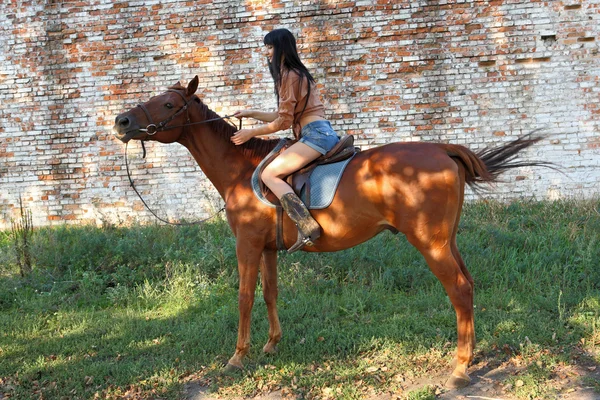 Horsewoman — Stock Photo, Image