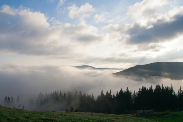 Polonyna biża, Karpatlar — Stok fotoğraf