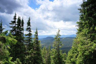 Yaz Karpat Dağları