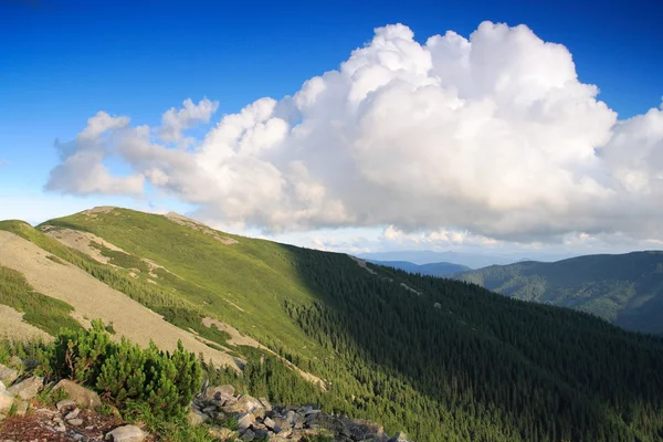 Summer Carpathian Mountains — Stock Photo, Image