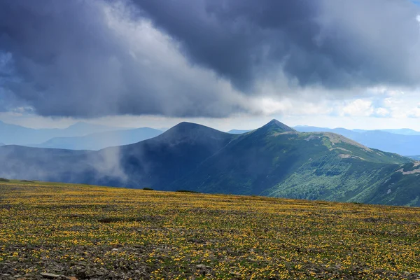 Summer Carpathian Mountains — Stock Photo, Image