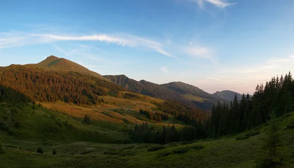Carpathians in the summer — Stock Photo, Image