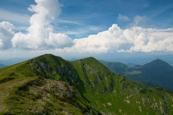 Carpathians in the summer — Stock Photo, Image