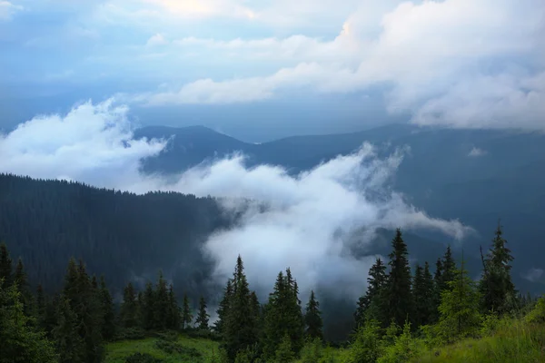 Carpathians in the summer — Stock Photo, Image