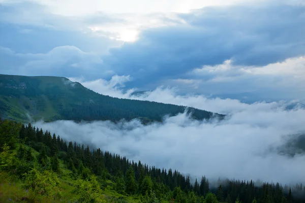 Carpathians in the summer — Stock Photo, Image