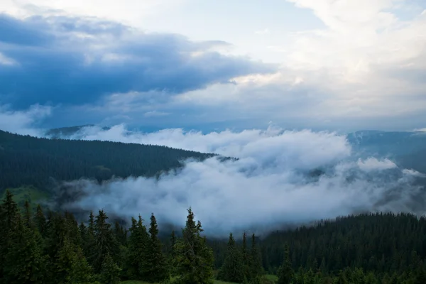 Carpathians in the summer — Stock Photo, Image