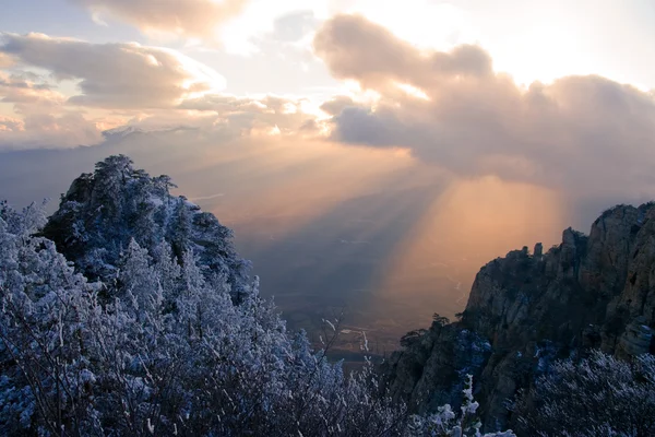 Kışın demerdzhi kaya — Stok fotoğraf