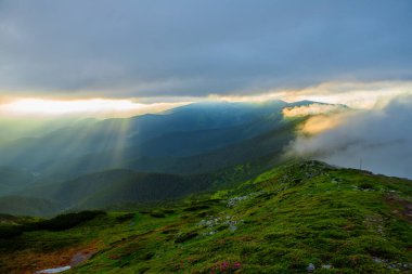 Akşam güneşiyle aydınlanan sis, dağların yamaçlarını kaplıyor. Karpatlar, Ukrayna.