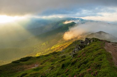 Akşam güneşiyle aydınlanan sis, dağların yamaçlarını kaplıyor. Karpatlar, Ukrayna.