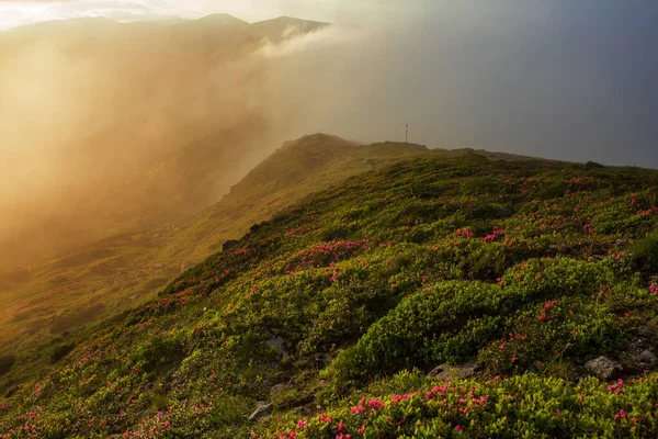 Nebbia Illuminata Dal Sole Della Sera Copre Pendici Delle Montagne — Foto Stock