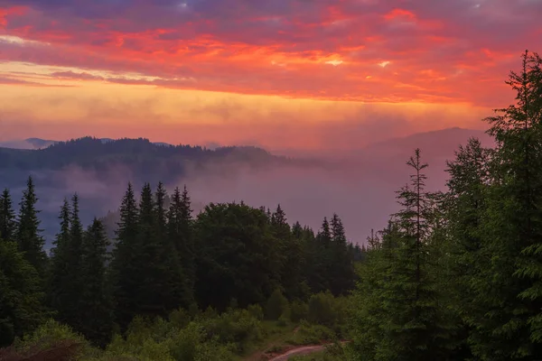 Carpathian Mountains Illuminated Rising Sun Ukraine — Stock Photo, Image