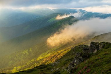 Akşam güneşiyle aydınlanan sis, dağların yamaçlarını kaplıyor. Karpatlar, Ukrayna.