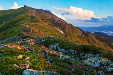 Akşam güneşiyle aydınlanan Karpat Dağları 'nın yamaçlarında. Ukrayna.