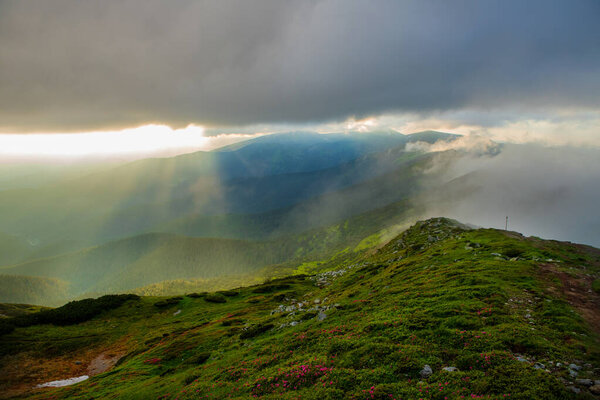 Туман, освещенный вечерним солнцем, покрывает склоны гор. Карпаты, Украина.